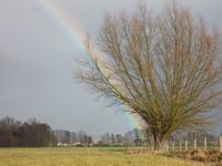 Regenbogen_Weide